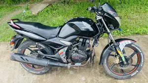 Hero 2010 Black