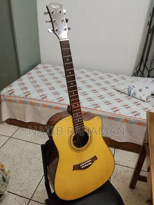 টেইলর অ্যাকৌস্টিক গিটার সেমি ইলেকট্রিক