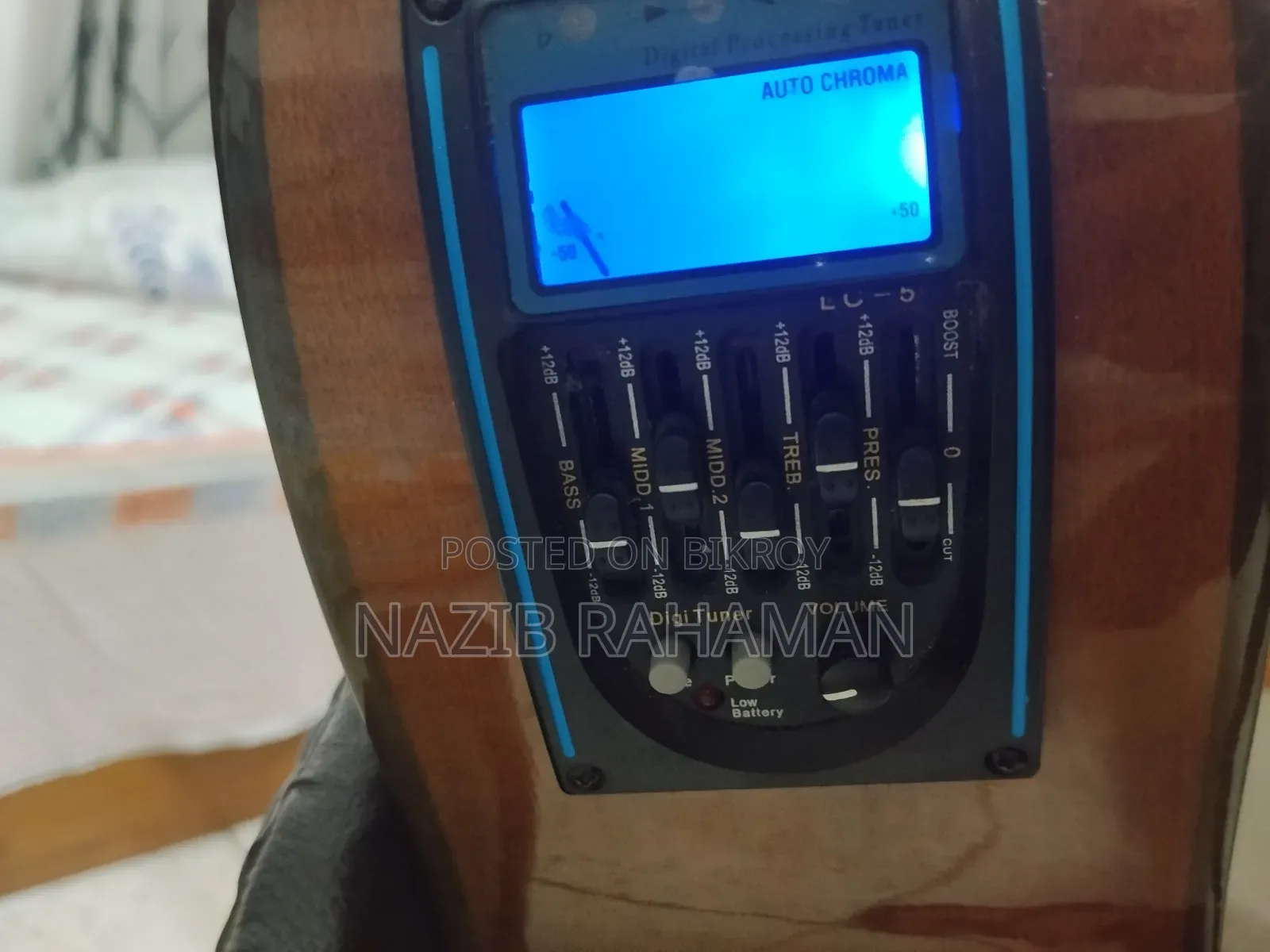 টেইলর অ্যাকৌস্টিক গিটার সেমি ইলেকট্রিক