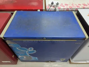 ওয়ালটন নীল রঙের ডিপ ফ্রিজার ২০৫ লিটার।