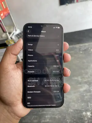 অ্যাপল আইফোন ১২ প্রো ২৫৬ জিবি ব্লু