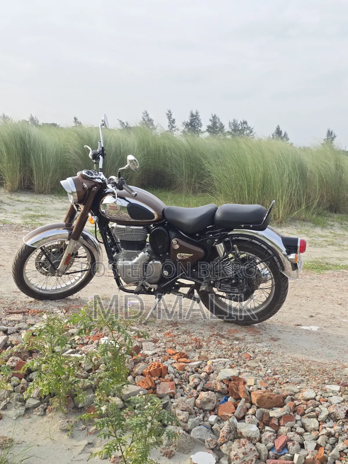 New Royal Enfield Classic 350 2025 Gold