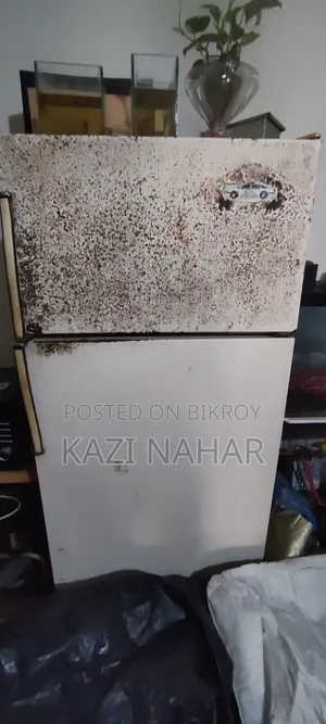 Fridge (Kelvinator)