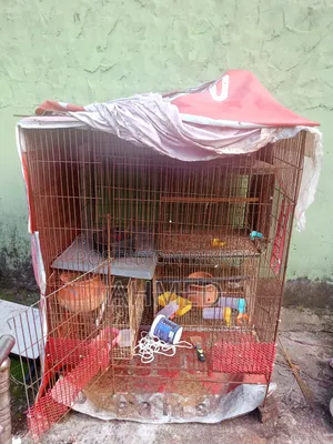 খাঁচা বিক্রি হবে সব সহ