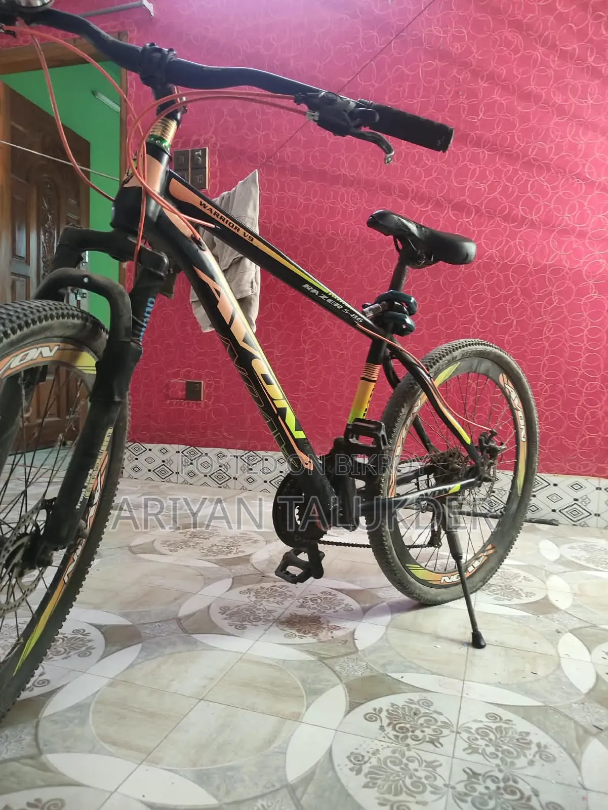 Beautiful Bicycle