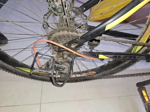 Beautiful Bicycle