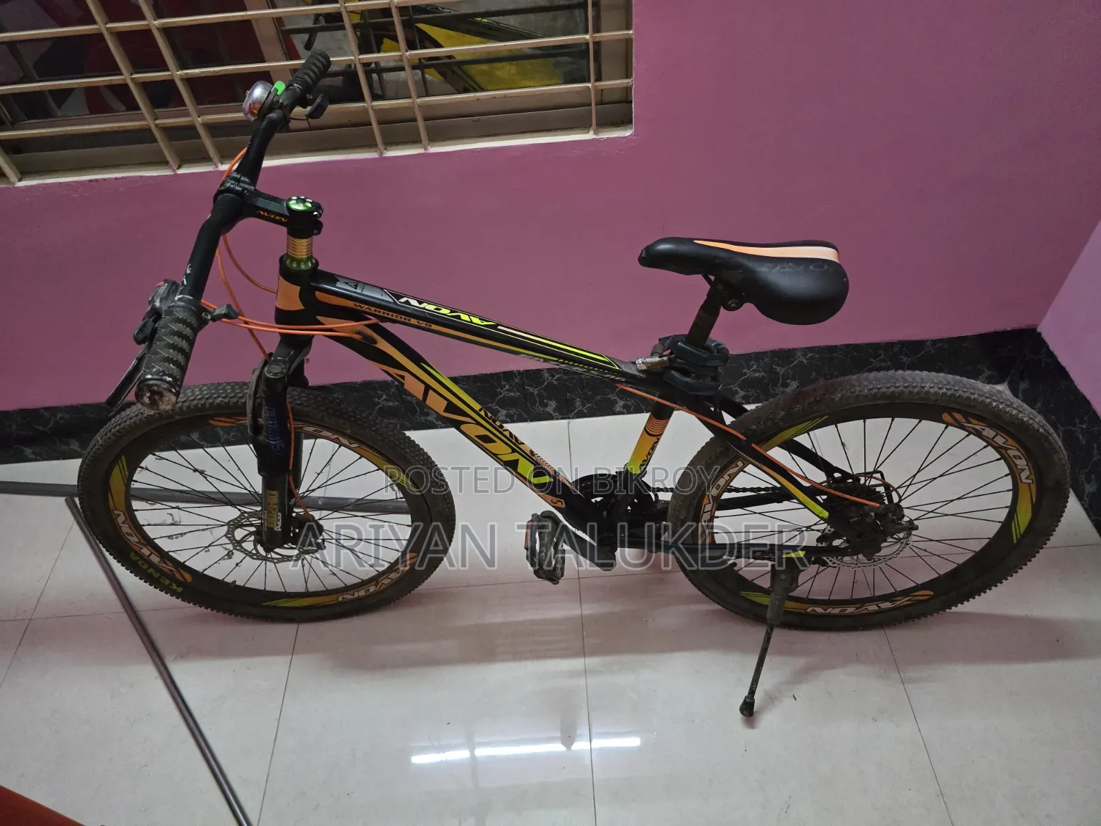 Beautiful Bicycle