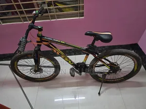 Beautiful Bicycle
