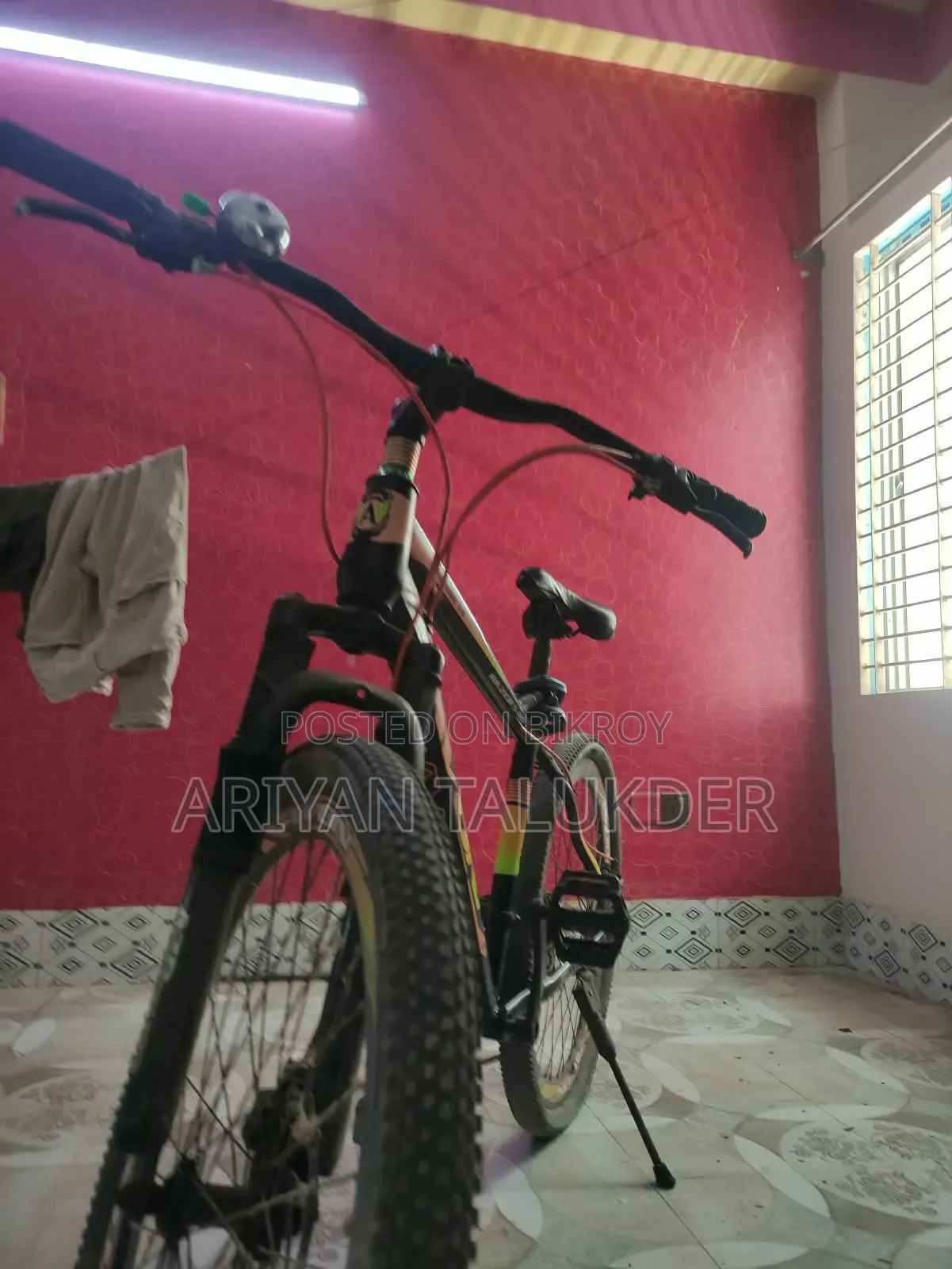 Beautiful Bicycle