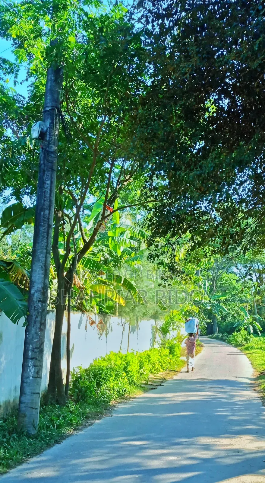 অ্যাপল আইফোন ৬ প্লাস ৬৪ জিবি রোজ গোল্ড