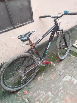 Good Bicycle