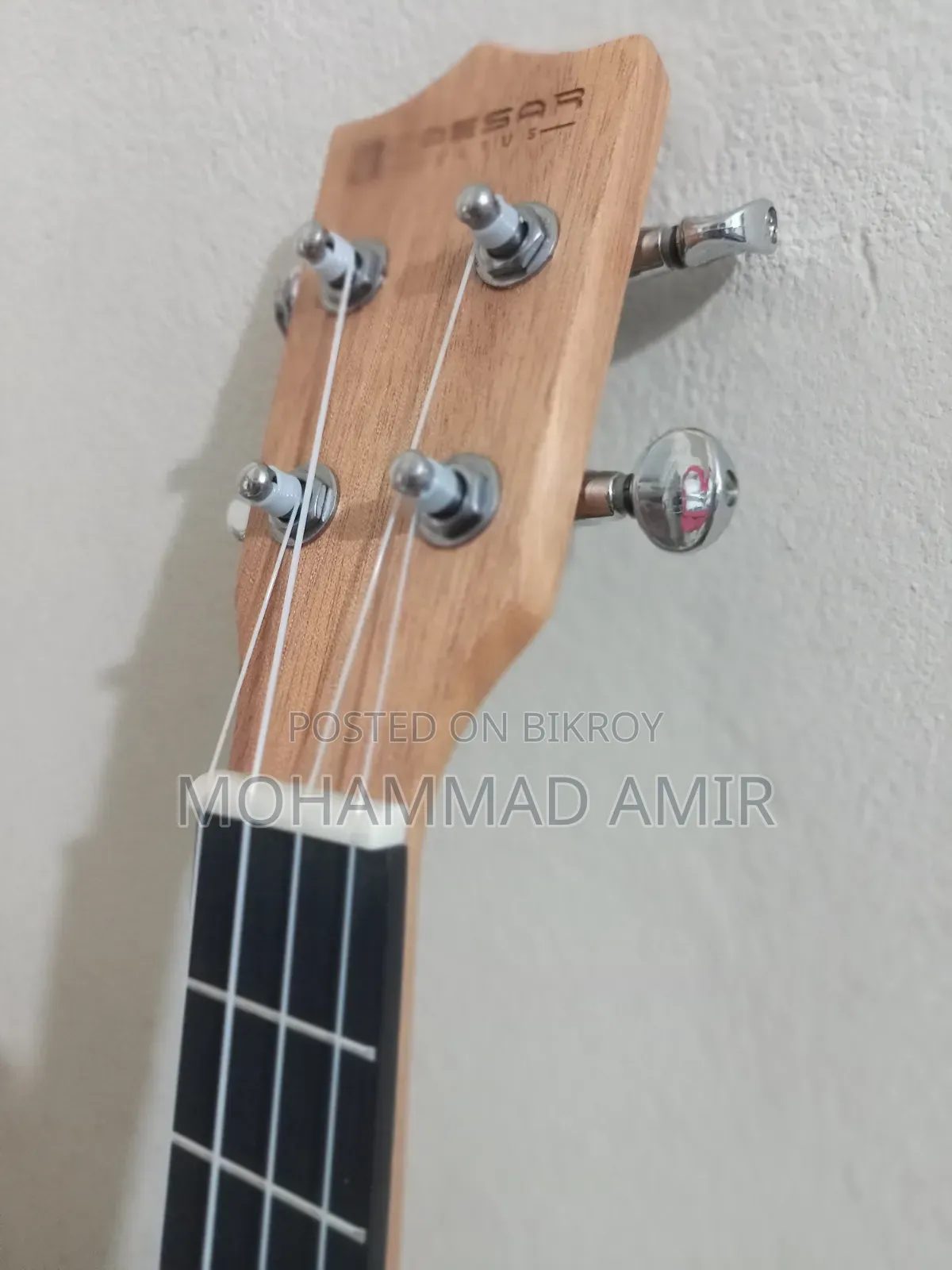 Caeser Ukelele