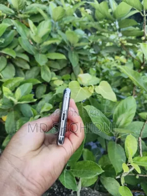 স্যামসাং গ্যালাক্সি এস২১+ ৫জি ২৫৬ জিবি সিলভার