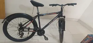 Raleigh Bicycle