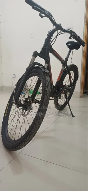 Raleigh Bicycle