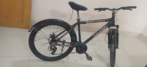 Raleigh Bicycle