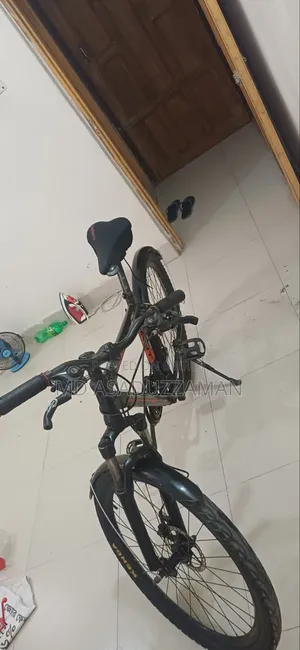 Raleigh Bicycle