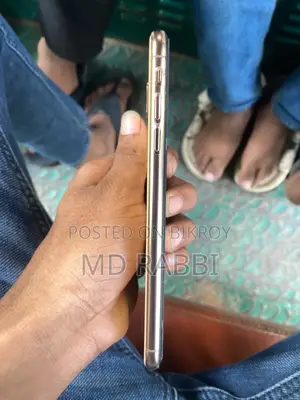 অ্যাপল আইফোন এক্সএস ম্যাক্স ২৫৬ জিবি রোজ গোল্ড