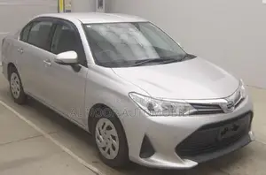 Toyota Axio 2021 Silver
