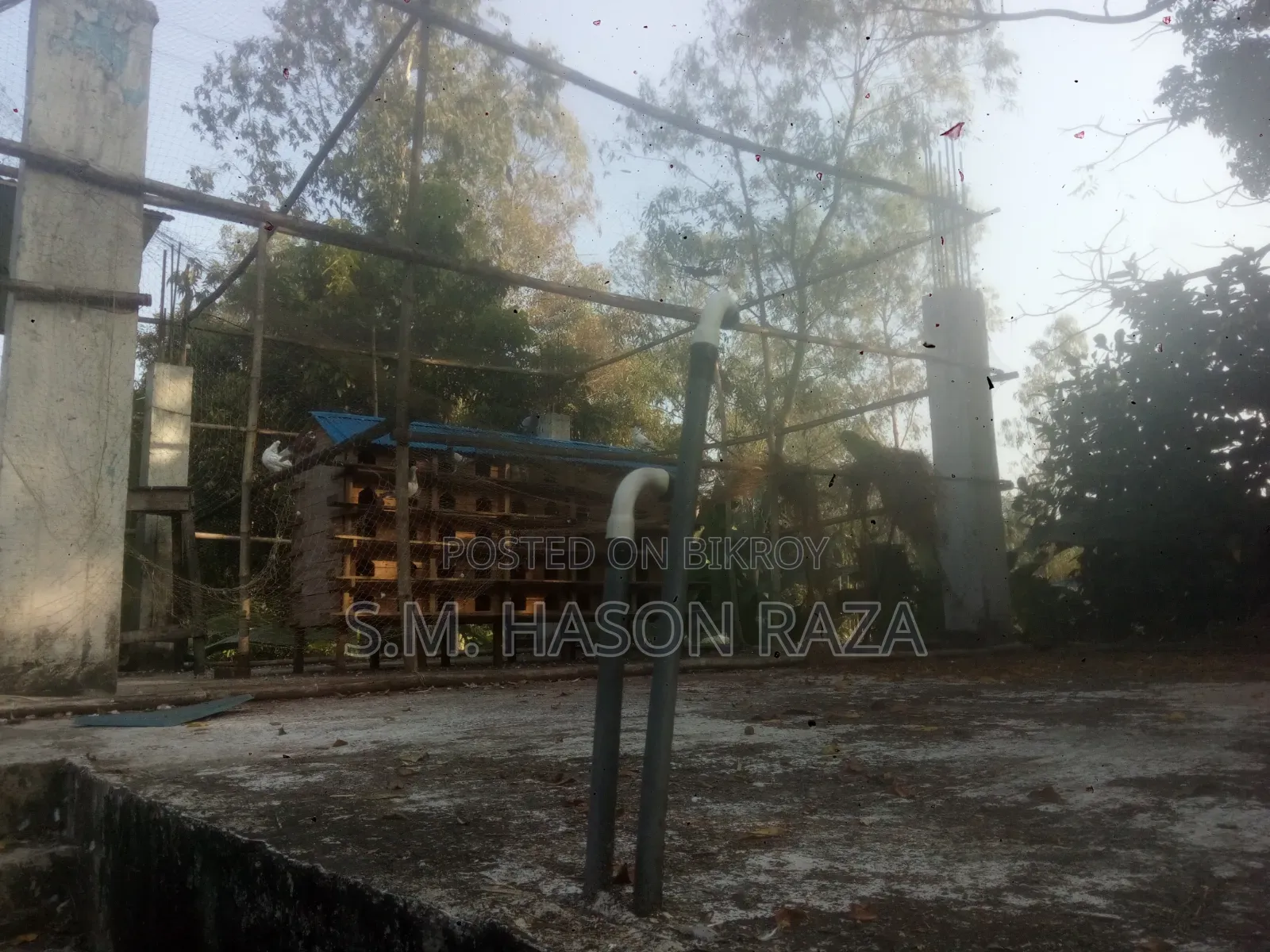 ঘিওর-এর হাসনে ৪ বেডরুমের বাড়ি বিক্রির জন্য