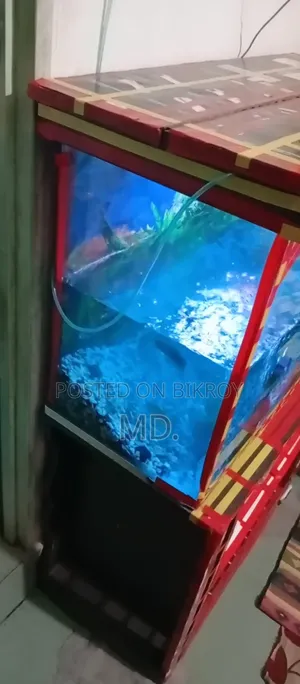 একুরিয়াম সেটআপ মাছ সহ সেল করবো