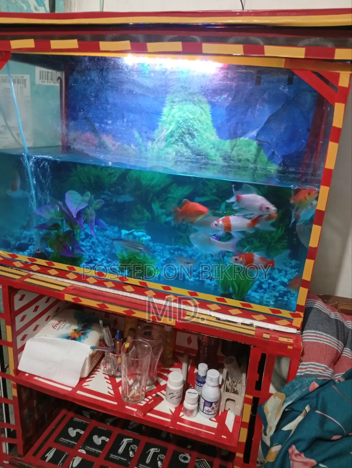 একুরিয়াম সেটআপ মাছ সহ সেল করবো