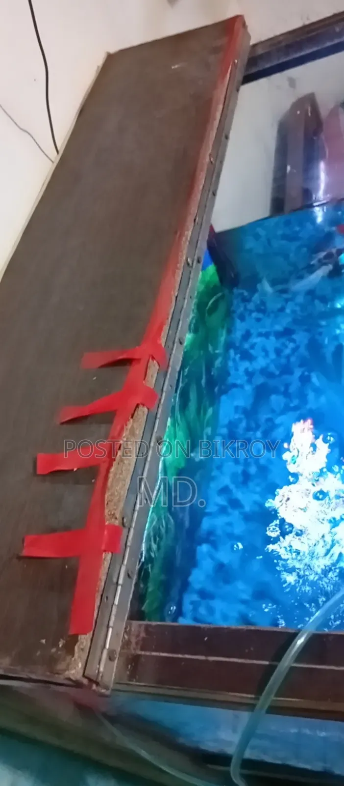 একুরিয়াম সেটআপ মাছ সহ সেল করবো