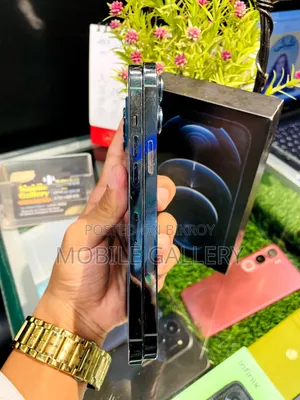 Apple iPhone 12 Pro Max 256 GB Blue