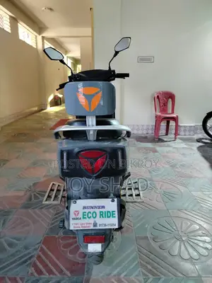 ইয়াডিয়া রুইবিন ২০২৬ গ্রে