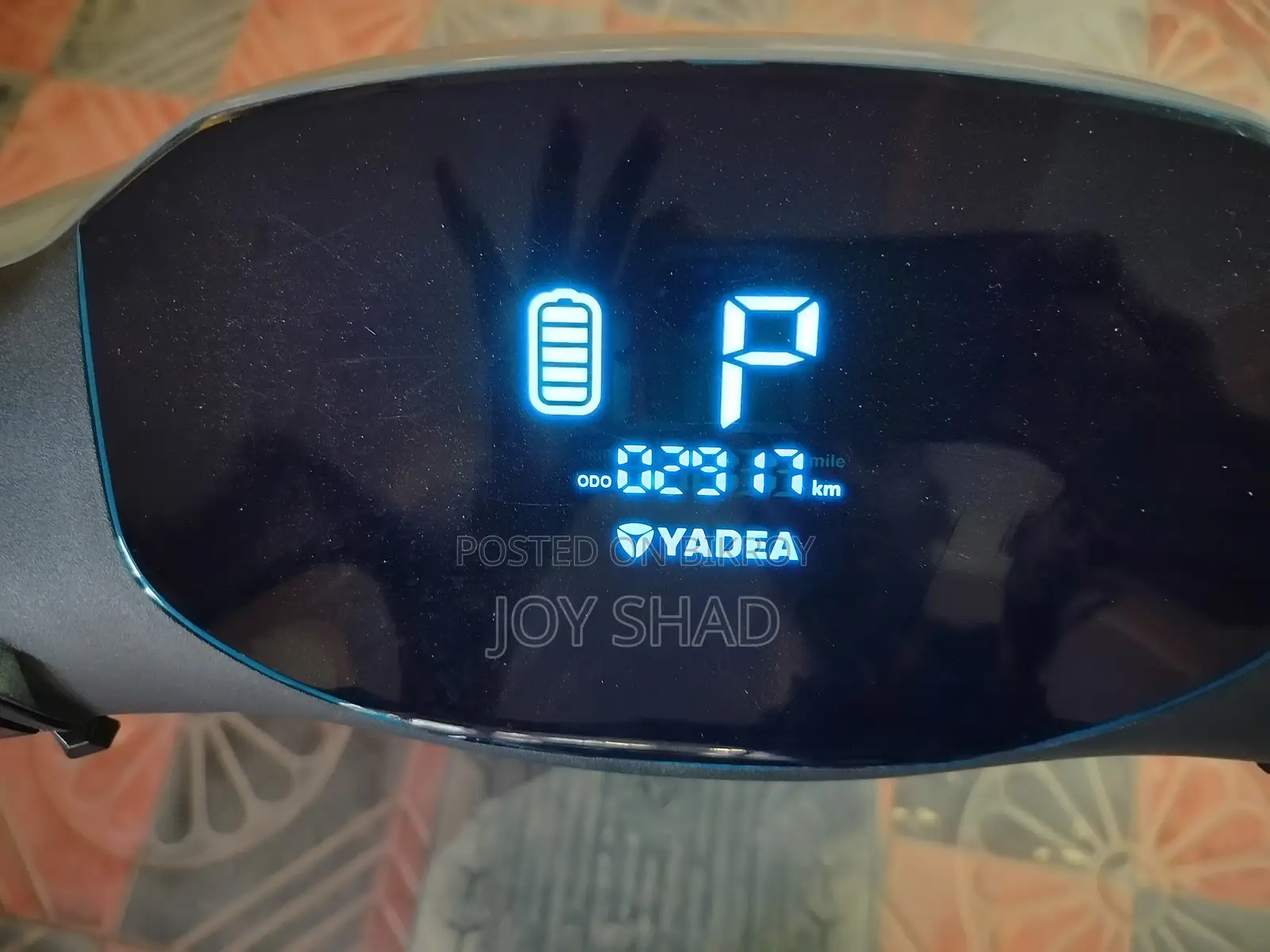ইয়াডিয়া রুইবিন ২০২৬ গ্রে