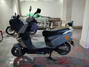 ইয়াডিয়া রুইবিন ২০২৬ গ্রে