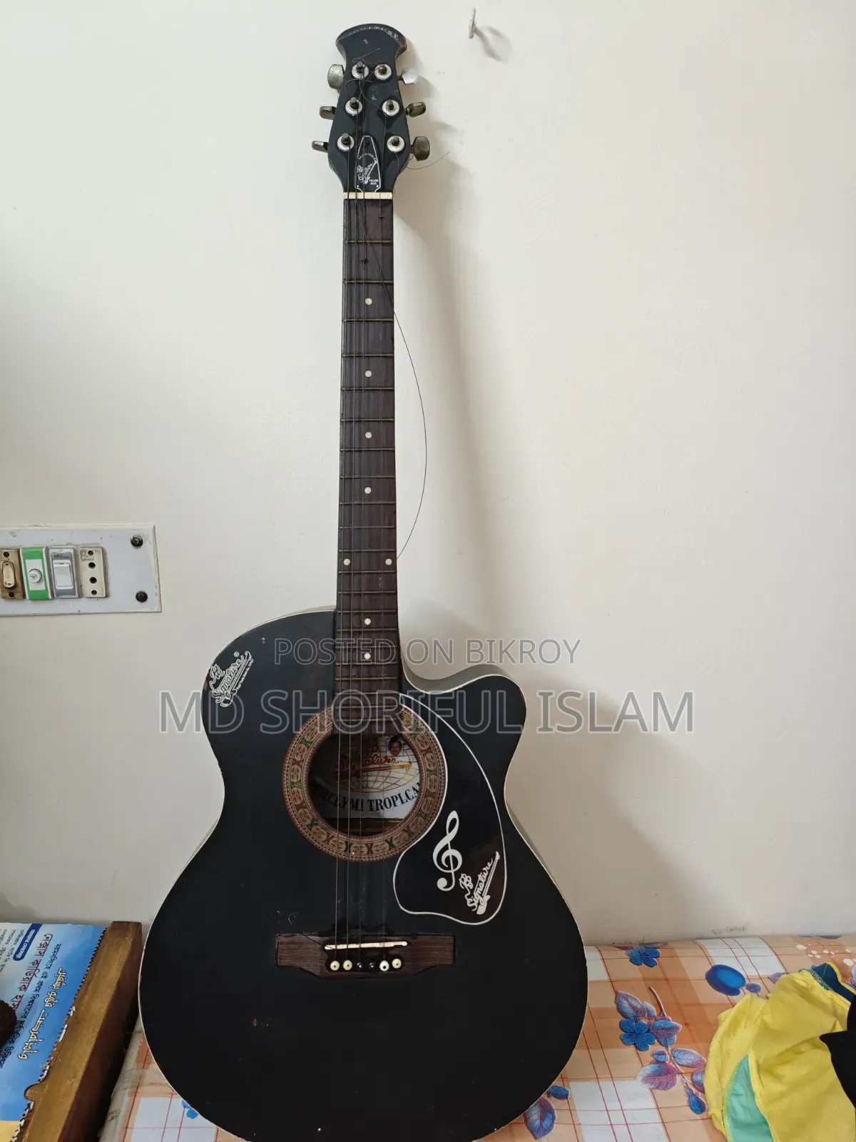 Signature Guitar