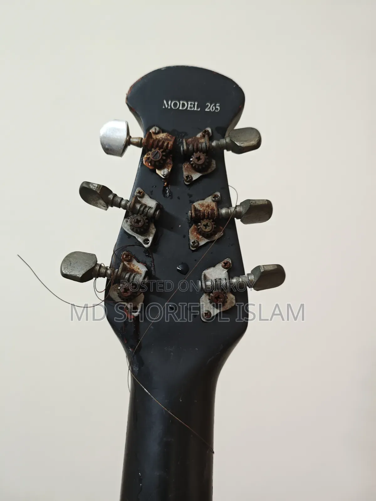 Signature Guitar