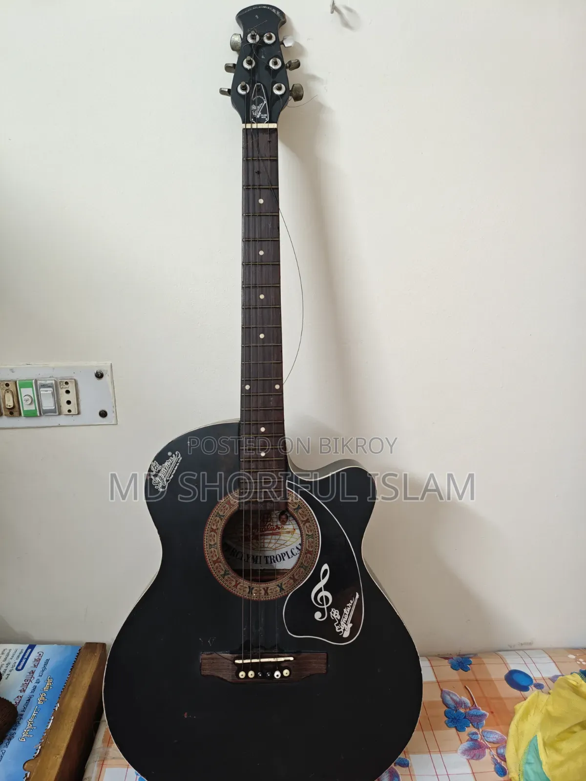 Signature Guitar