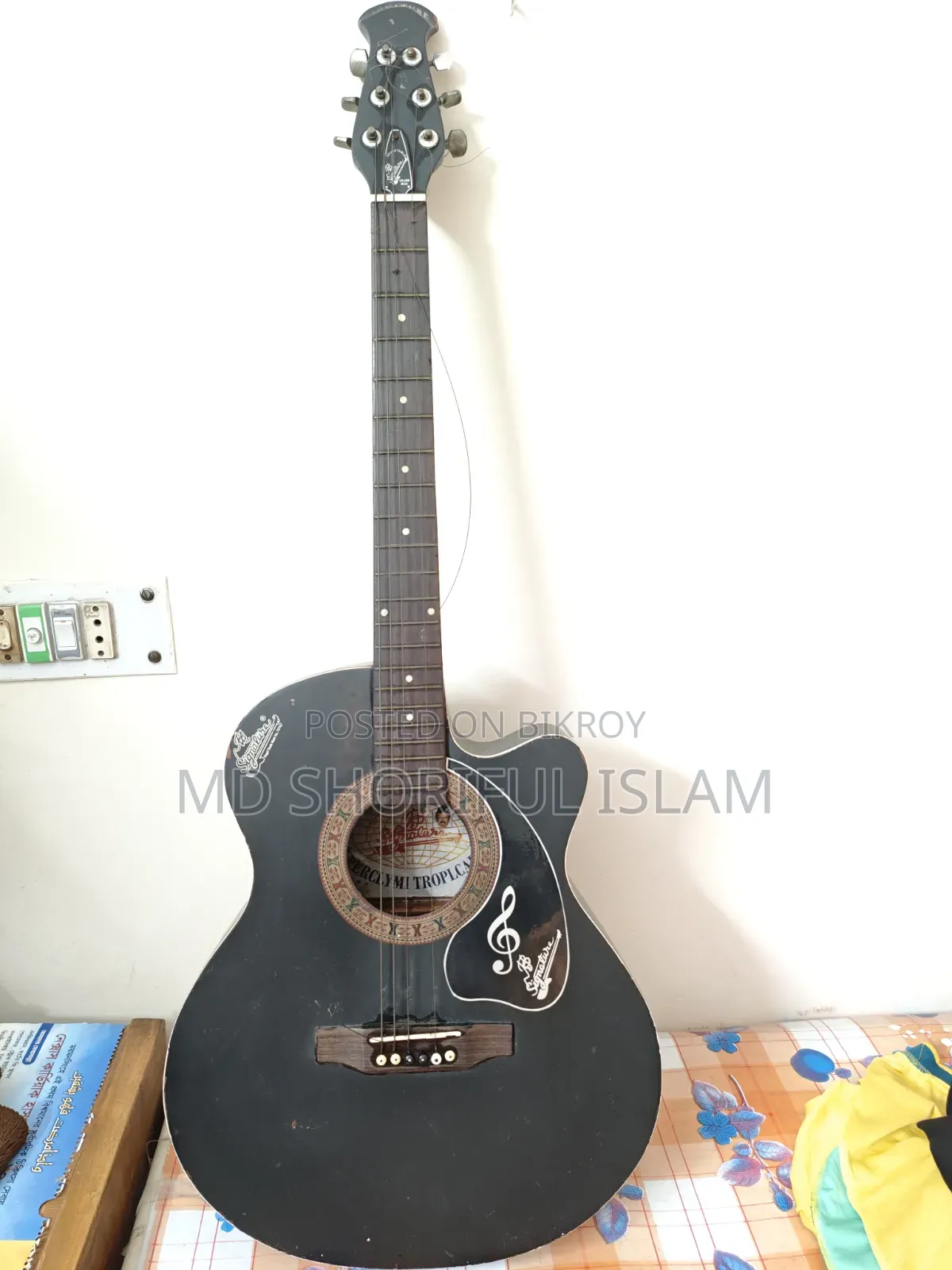 Signature Guitar