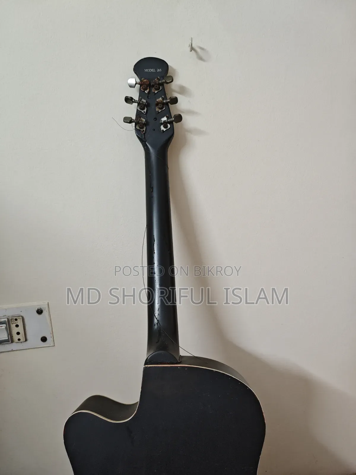 Signature Guitar