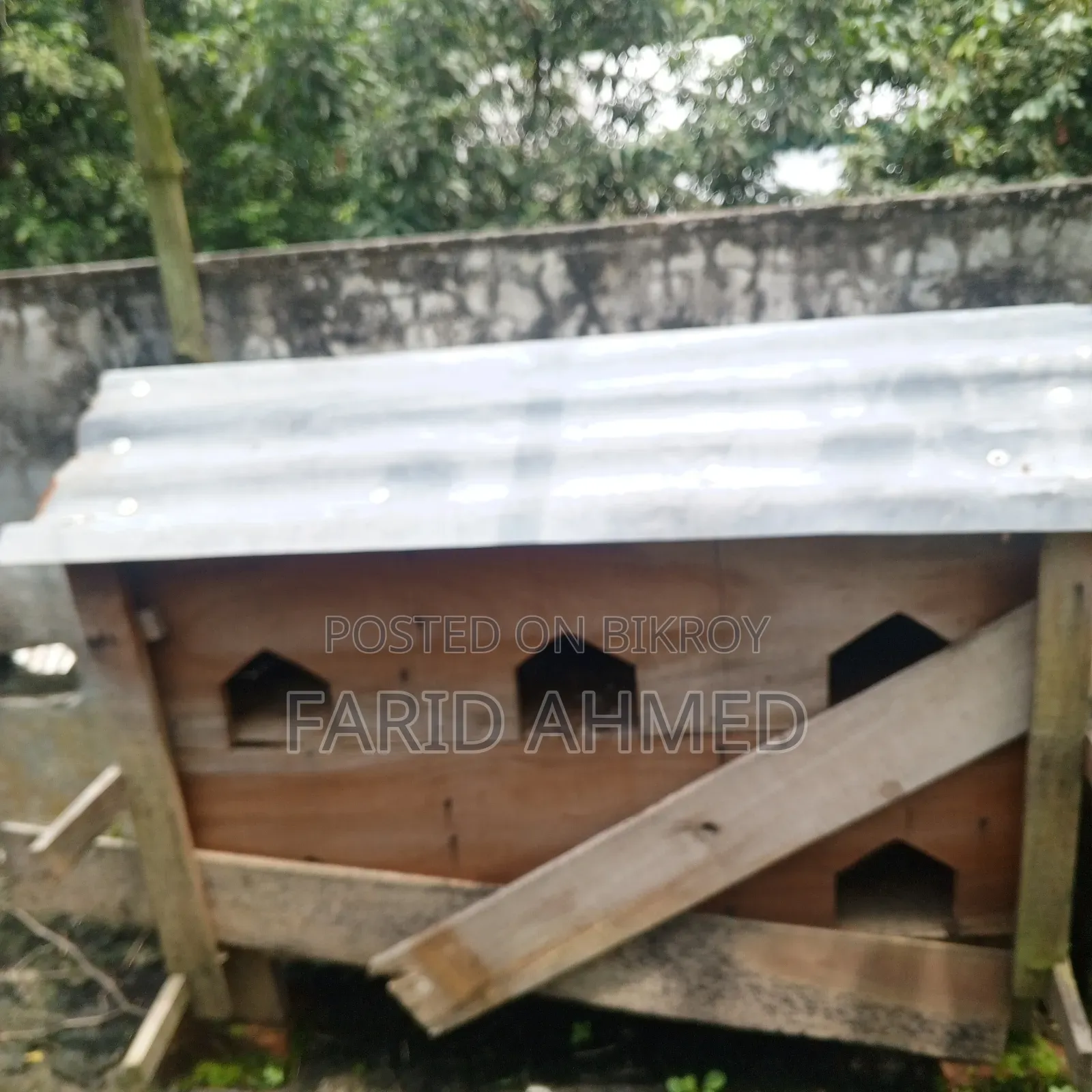 কবুতরের কাঠের ঘর