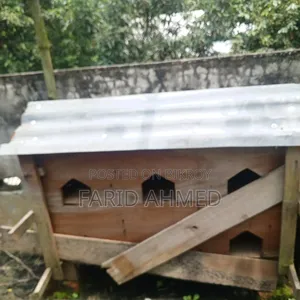 কবুতরের কাঠের ঘর