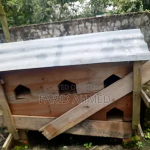 কবুতরের কাঠের ঘর