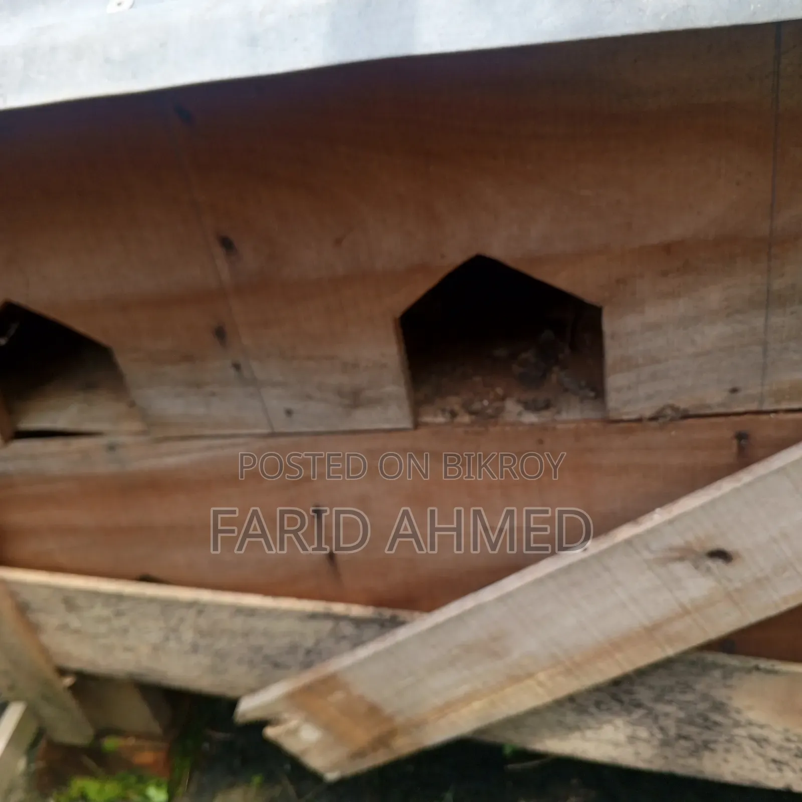কবুতরের কাঠের ঘর