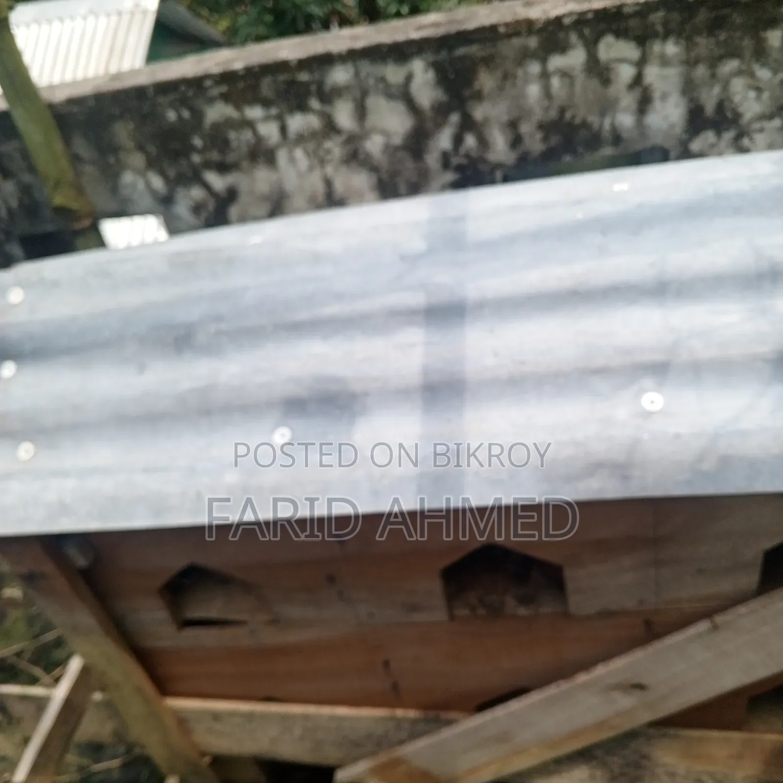 কবুতরের কাঠের ঘর