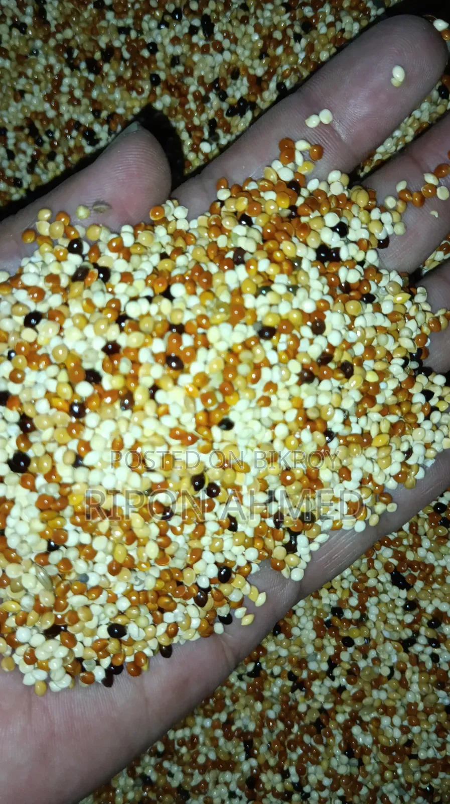 পাখির সিড মিক্স-১ কেজি