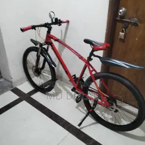 I will sell a bicycle