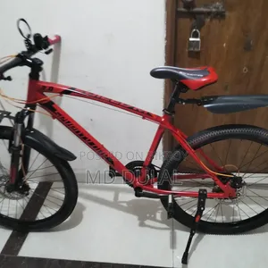 I will sell a bicycle