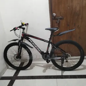 I will sell a bicycle