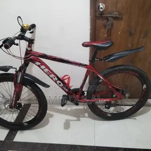 I will sell a bicycle