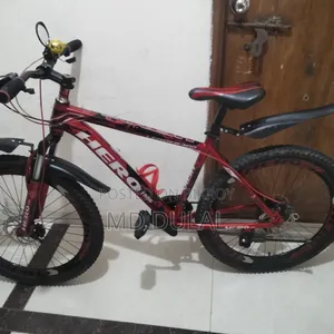I will sell a bicycle