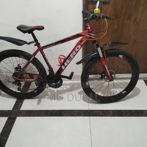 I will sell a bicycle