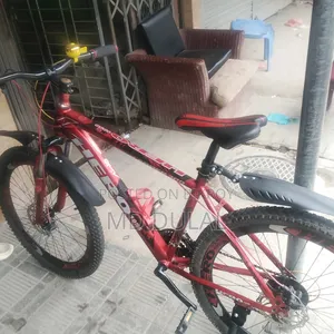 I will sell a bicycle