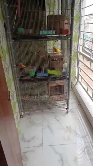 Bird cage for sale
